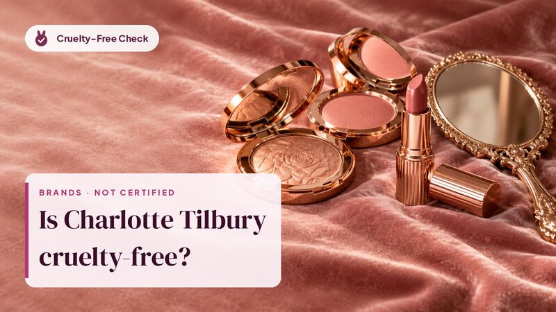 Unbranded makeup still life, illustration for the Charlotte Tilbury cruelty-free check (no Charlotte Tilbury products shown)