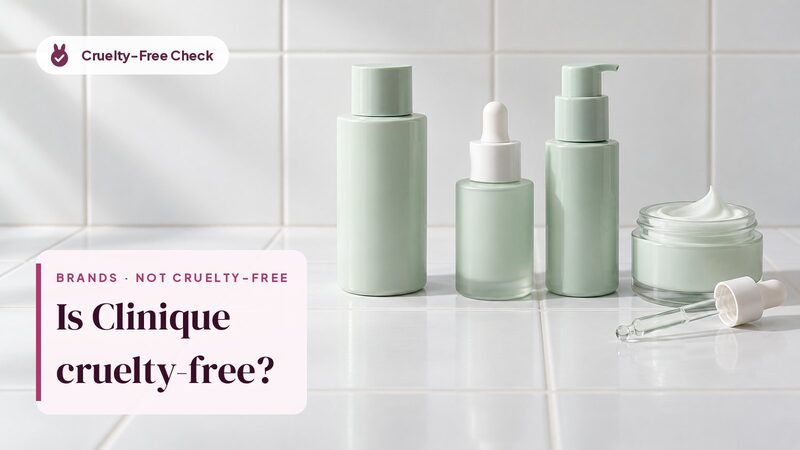 Unbranded makeup still life, illustration for the Clinique cruelty-free check (no Clinique products shown)