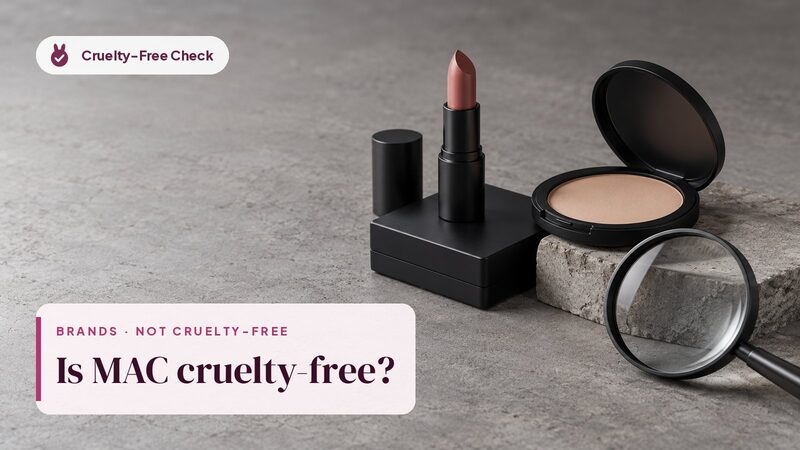 Unbranded makeup still life, illustration for the MAC cruelty-free check (no MAC products shown)