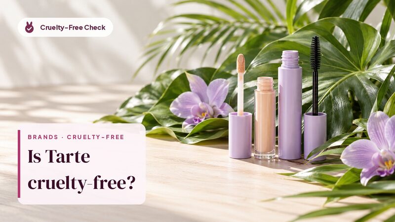 Unbranded makeup still life, illustration for the Tarte cruelty-free check (no Tarte products shown)